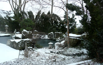 The Japanese Garden Behind Neil Meitzler's home in Walla Walla, Washington. It's even beautiful in mid-winter.