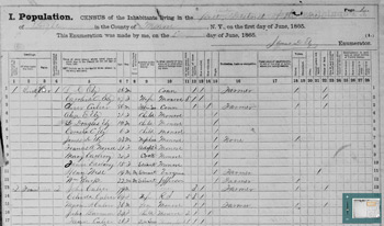 1865 Brighton, Monroe Co, NY Census