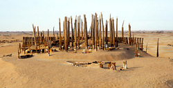 Archaeologists believe the hundreds of 13-foot poles at the Small River Cemetery in a desert in Xinjiang Province, China, were mostly phallic symbols.