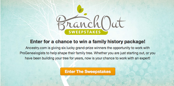 Branch-Out-Sweepstakes