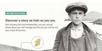 Ancestry-Irish-350pw