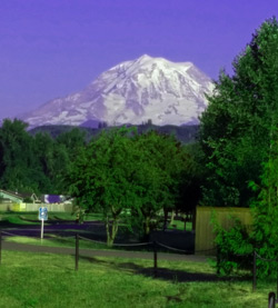 Mt. Rainier photo taken from the Footshills Trail. The Trail runs just a few hundred yards from our home in Orting.