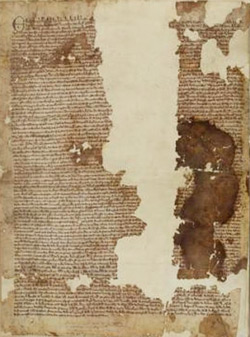 Magna-Carta-250pw