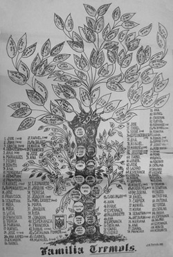 Cuban-Family-Tree-250pw