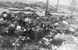 View of the charred remains of Jewish victims burned in a barn by the Germans near the Maly Trostenets concentration camp.