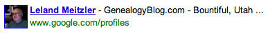 Leland Meitzler Google link