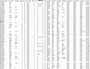 Yellow Medicine County Births