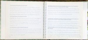 My-Story-Begins-page--350pw