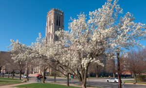 American Legion Mall