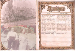 Dr-Barbara-Lang-Collection_250pw