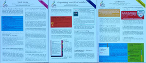 new-dna-bundle_300pw